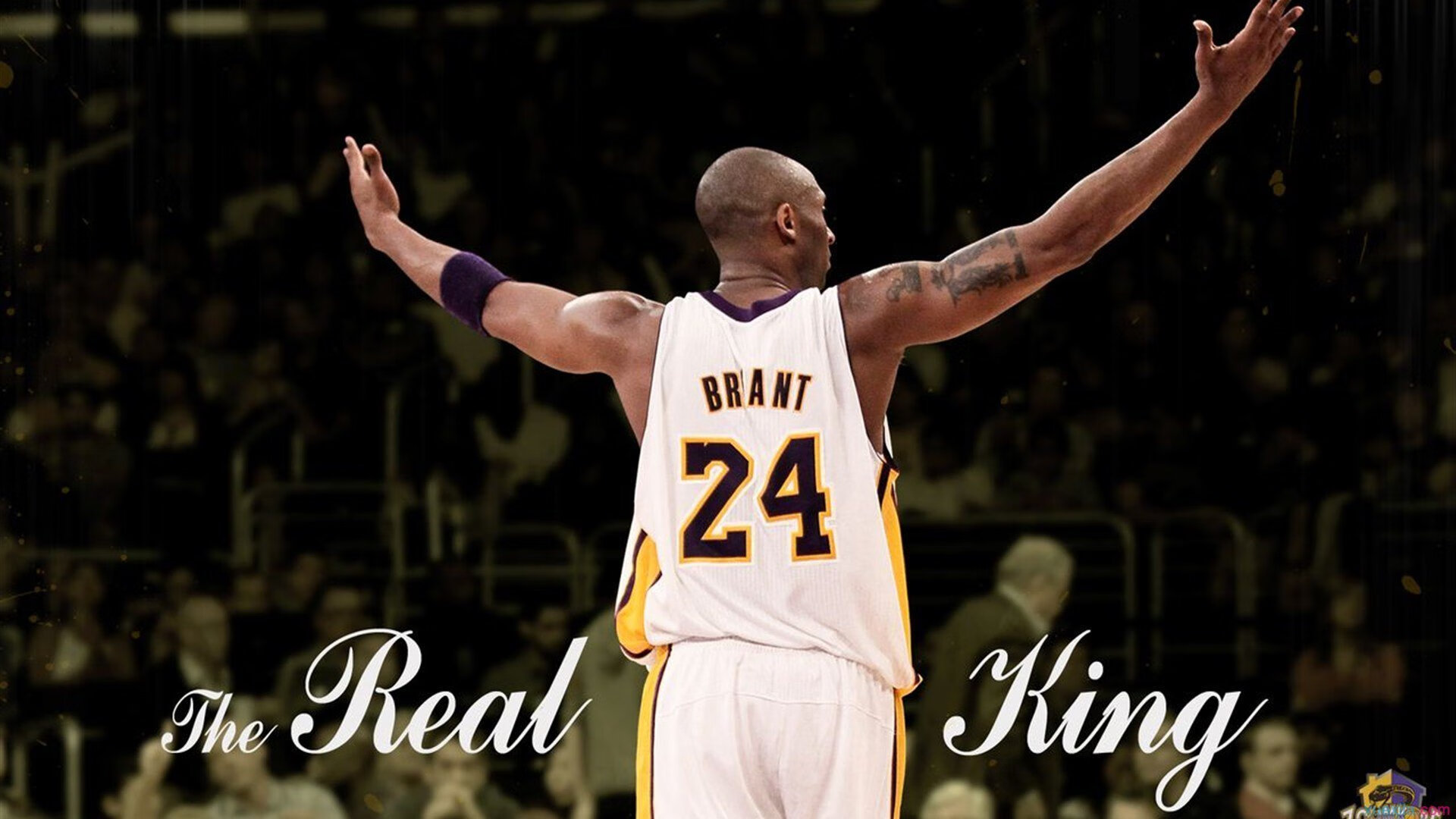 丹·卡特：带领全黑队成为世界橄榄球的霸主，卡特 丹(carter dane)